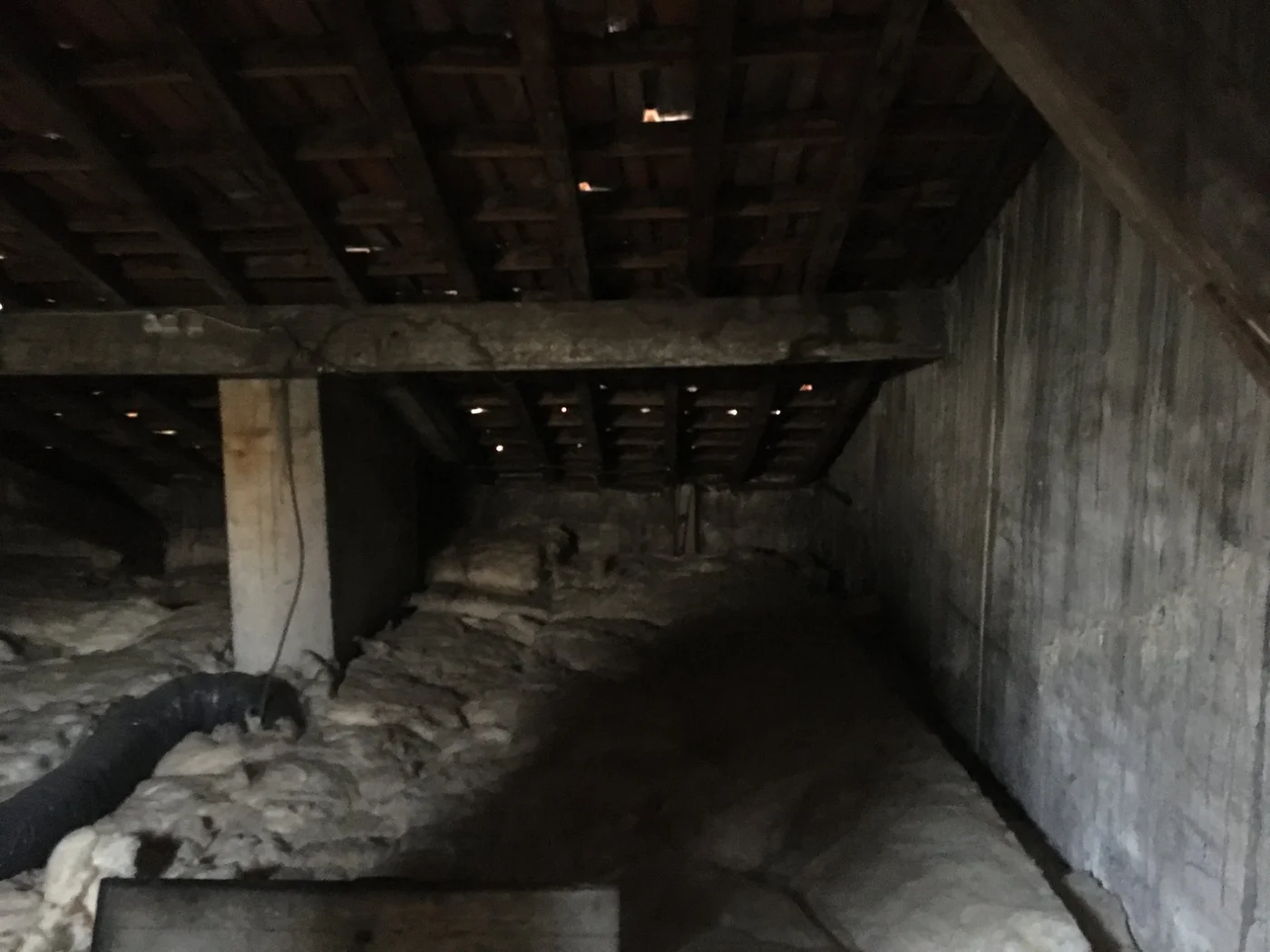 Combles bruts avant travaux — grenier charpente XIXe — Vincennes — Teresa Lombardo architecte DPLG