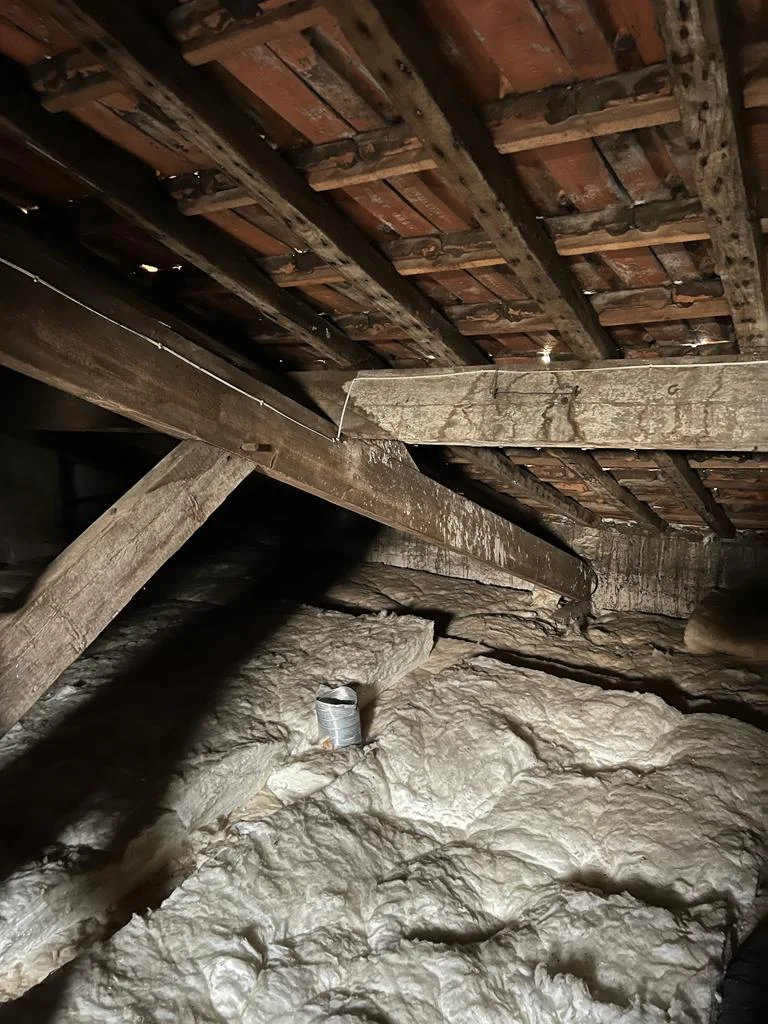 Salle de bain sous les combles avant travaux — combles bruts charpente bois — aménagement combles Paris Teresa Lombardo architecte DPLG